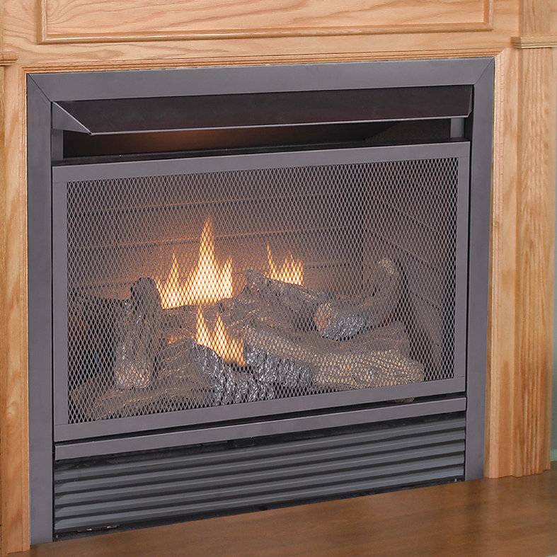 Duluth Dual Fuel Ventless Natural Gas/Propane Fireplace Insert
